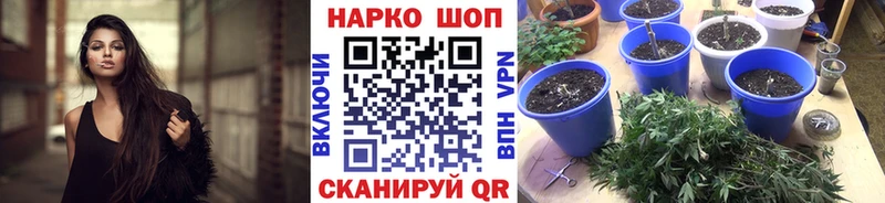 ГАШИШ Грязовец