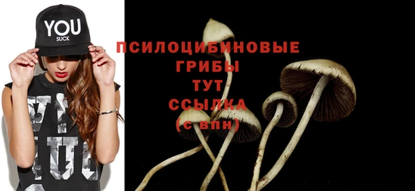 2c-b Бугульма