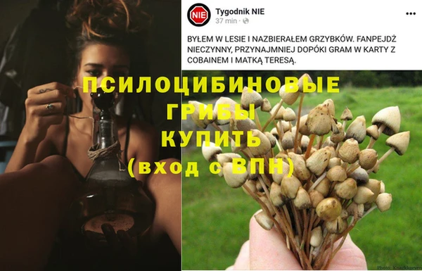 гашишное масло Бронницы