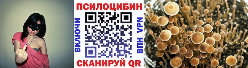 Псилоцибиновые грибы Cubensis  ОМГ ОМГ ССЫЛКА  Грязовец 